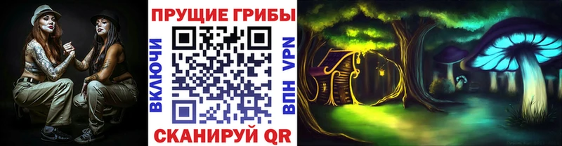 сколько стоит  Избербаш  Псилоцибиновые грибы ЛСД 